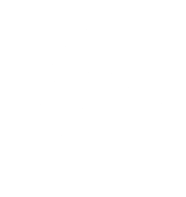 Ravenyxion